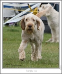Filename=S-Iva2.jpg
Filesize=192KiB
Dimensions=571x683
Date added=Sep 18, 2011 S-Iva2.jpg