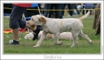 Filename=S-Iva3.jpg
Filesize=199KiB
Dimensions=1242x715
Date added=Sep 18, 2011 S-Iva3.jpg