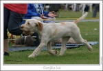 Filename=S-Iva4.jpg
Filesize=189KiB
Dimensions=1007x704
Date added=Sep 18, 2011 S-Iva4.jpg