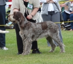 Willy-WonkaAtPenllech.jpg