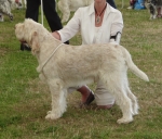 Filename=N-GotToBeThere.jpg
Filesize=439KiB
Dimensions=700x600
Date added=Sep 18, 2011 N-GotToBeThere.jpg