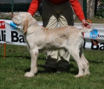 IMG_6060.jpg