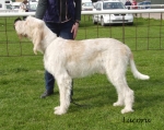 Filename=L-Glenglassaugh.jpg
Filesize=478KiB
Dimensions=700x557
Date added=Sep 18, 2011 L-Glenglassaugh.jpg