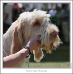Filename=A-Aldabella.jpg
Filesize=162KiB
Dimensions=766x778
Date added=Sep 18, 2011 A-Aldabella.jpg