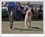 Filename=B-Daydream-2.jpg
Filesize=206KiB
Dimensions=868x712
Date added=Sep 18, 2011 B-Daydream-2.jpg