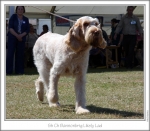 Filename=B-LikelyLad-2.jpg
Filesize=154KiB
Dimensions=871x764
Date added=Sep 18, 2011 B-LikelyLad-2.jpg