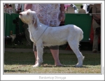 Filename=B-Streyga.jpg
Filesize=199KiB
Dimensions=867x682
Date added=Sep 18, 2011 B-Streyga.jpg