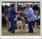 Filename=BestOfBreed.jpg
Filesize=176KiB
Dimensions=654x601
Date added=Sep 18, 2011 BestOfBreed.jpg