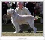 Filename=C-Carlo.jpg
Filesize=205KiB
Dimensions=871x786
Date added=Sep 18, 2011 C-Carlo.jpg