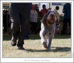 Filename=C-TedBaker-2.jpg
Filesize=189KiB
Dimensions=870x740
Date added=Sep 18, 2011 C-TedBaker-2.jpg