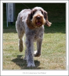 Filename=C-TedBaker-3.jpg
Filesize=237KiB
Dimensions=879x962
Date added=Sep 18, 2011 C-TedBaker-3.jpg