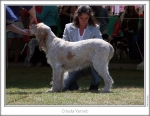 Filename=C-Vervet-2.jpg
Filesize=202KiB
Dimensions=867x673
Date added=Sep 18, 2011 C-Vervet-2.jpg