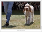 Filename=C-Vervet-4.jpg
Filesize=185KiB
Dimensions=866x648
Date added=Sep 18, 2011 C-Vervet-4.jpg
