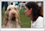 Filename=C-Vervet.jpg
Filesize=183KiB
Dimensions=863x597
Date added=Sep 18, 2011 C-Vervet.jpg