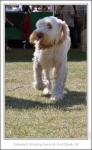 Filename=D-AmazingGrace-2.jpg
Filesize=205KiB
Dimensions=676x1092
Date added=Sep 18, 2011 D-AmazingGrace-2.jpg