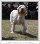 Filename=D-AmazingGrace-3.jpg
Filesize=136KiB
Dimensions=661x729
Date added=Sep 18, 2011 D-AmazingGrace-3.jpg