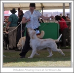 Filename=D-AmazingGrace-4.jpg
Filesize=167KiB
Dimensions=657x651
Date added=Sep 18, 2011 D-AmazingGrace-4.jpg