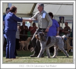 Filename=DogCC.jpg
Filesize=149KiB
Dimensions=653x590
Date added=Sep 18, 2011 DogCC.jpg