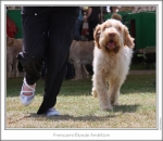 Filename=F-BlondeAmbition-2.jpg
Filesize=187KiB
Dimensions=870x757
Date added=Sep 18, 2011 F-BlondeAmbition-2.jpg