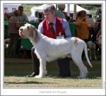 Filename=H-KirRoyale.jpg
Filesize=194KiB
Dimensions=871x786
Date added=Sep 18, 2011 H-KirRoyale.jpg