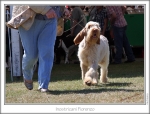 I-Fiorenzo-2.jpg