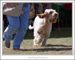 I-Fiorenzo-3.jpg