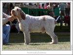 I-Fiorenzo.jpg