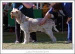 Filename=L-AutumnalSpirit.jpg
Filesize=146KiB
Dimensions=865x634
Date added=Sep 18, 2011 L-AutumnalSpirit.jpg