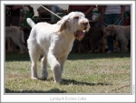 Filename=L-EcclesCake-2.jpg
Filesize=166KiB
Dimensions=866x662
Date added=Sep 18, 2011 L-EcclesCake-2.jpg