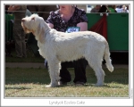 Filename=L-EcclesCake.jpg
Filesize=155KiB
Dimensions=867x694
Date added=Sep 18, 2011 L-EcclesCake.jpg