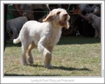 Filename=L-EverDizzy-2.jpg
Filesize=171KiB
Dimensions=868x698
Date added=Sep 18, 2011 L-EverDizzy-2.jpg