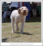 Filename=L-EverDizzy-3.jpg
Filesize=160KiB
Dimensions=659x698
Date added=Sep 18, 2011 L-EverDizzy-3.jpg