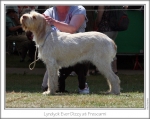 Filename=L-EverDizzy.jpg
Filesize=150KiB
Dimensions=867x692
Date added=Sep 18, 2011 L-EverDizzy.jpg