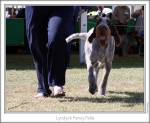 Filename=L-FancyFella-2.jpg
Filesize=177KiB
Dimensions=868x713
Date added=Sep 18, 2011 L-FancyFella-2.jpg
