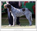 Filename=L-FancyFella.jpg
Filesize=173KiB
Dimensions=870x734
Date added=Sep 18, 2011 L-FancyFella.jpg