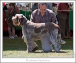 Filename=P-Topsyturvy-3.jpg
Filesize=191KiB
Dimensions=868x719
Date added=Sep 18, 2011 P-Topsyturvy-3.jpg