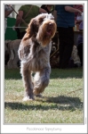Filename=P-Topsyturvy-4.jpg
Filesize=204KiB
Dimensions=672x1013
Date added=Sep 18, 2011 P-Topsyturvy-4.jpg