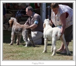 Filename=PuppyBitch.jpg
Filesize=215KiB
Dimensions=871x763
Date added=Sep 18, 2011 PuppyBitch.jpg