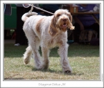 Filename=S-Delius-2.jpg
Filesize=167KiB
Dimensions=870x742
Date added=Sep 18, 2011 S-Delius-2.jpg