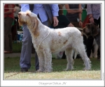 Filename=S-Delius.jpg
Filesize=209KiB
Dimensions=870x730
Date added=Sep 18, 2011 S-Delius.jpg