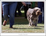 Filename=S-Natalia-3.jpg
Filesize=200KiB
Dimensions=867x688
Date added=Sep 18, 2011 S-Natalia-3.jpg
