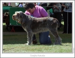 Filename=S-Natalia.jpg
Filesize=192KiB
Dimensions=867x679
Date added=Sep 18, 2011 S-Natalia.jpg