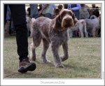 Filename=S-Zola-2.jpg
Filesize=179KiB
Dimensions=868x713
Date added=Sep 18, 2011 S-Zola-2.jpg