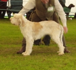 Filename=L-Knockdhu.jpg
Filesize=379KiB
Dimensions=700x646
Date added=Sep 18, 2011 L-Knockdhu.jpg