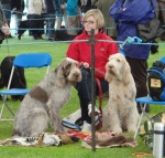 Filename=RubyandSon.JPG
Filesize=524KiB
Dimensions=700x668
Date added=Sep 18, 2011 RubyandSon.JPG