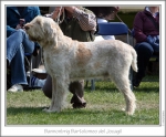Filename=B-Bartolomeo.jpg
Filesize=184KiB
Dimensions=868x722
Date added=Sep 18, 2011 B-Bartolomeo.jpg