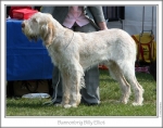 Filename=B-BillyElliot.jpg
Filesize=153KiB
Dimensions=867x687
Date added=Sep 18, 2011 B-BillyElliot.jpg