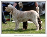 Filename=B-EdwardGRobinson.jpg
Filesize=184KiB
Dimensions=867x688
Date added=Sep 18, 2011 B-EdwardGRobinson.jpg