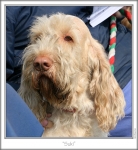 Filename=B-FayWray-2.jpg
Filesize=109KiB
Dimensions=659x713
Date added=Sep 18, 2011 B-FayWray-2.jpg