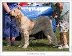Filename=B-FayWray.jpg
Filesize=157KiB
Dimensions=867x673
Date added=Sep 18, 2011 B-FayWray.jpg